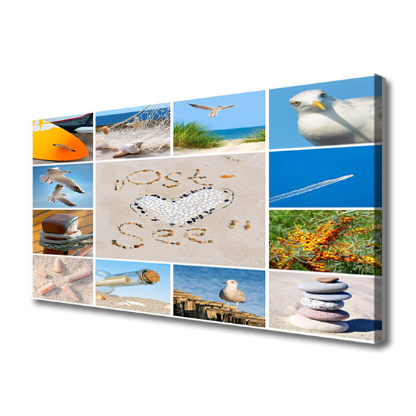 Canvas doek foto Meeuwen ocean beach landschap