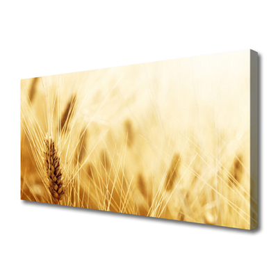 Canvas doek foto Tarwe plant nature