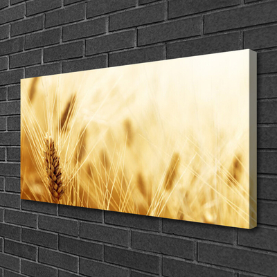 Canvas doek foto Tarwe plant nature