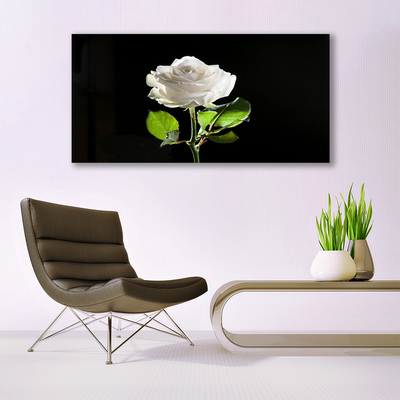 Canvas doek foto Rose flower plant natuur