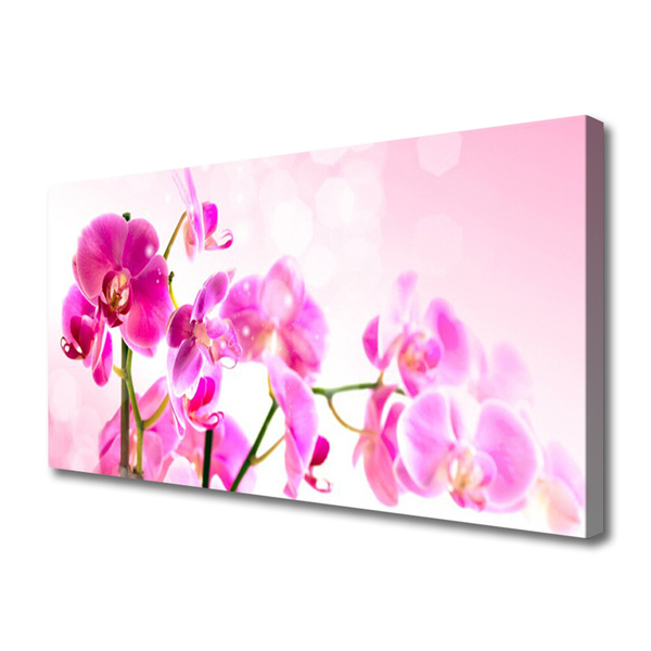 Canvas doek foto Bloemen plant nature