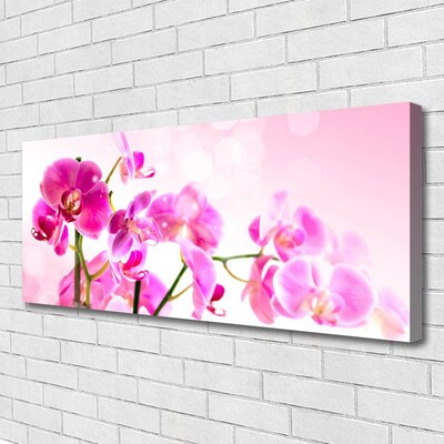 Canvas doek foto Bloemen plant nature