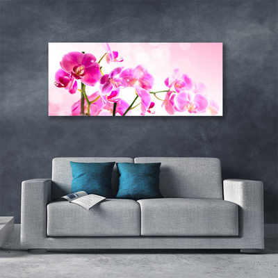 Canvas doek foto Bloemen plant nature