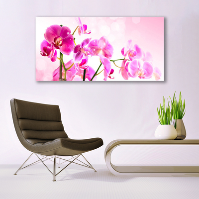 Canvas doek foto Bloemen plant nature