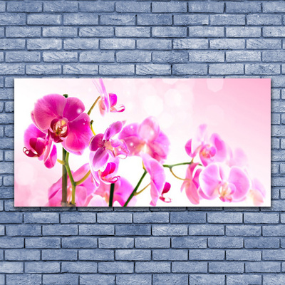 Canvas doek foto Bloemen plant nature