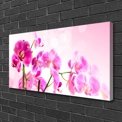 Canvas doek foto Bloemen plant nature