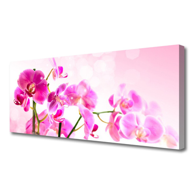 Canvas doek foto Bloemen plant nature