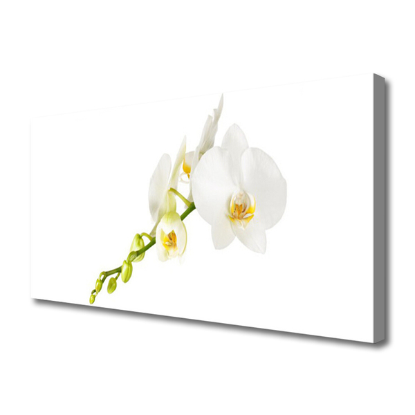 Canvas doek foto Bloemen plant nature