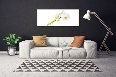 Canvas doek foto Bloemen plant nature