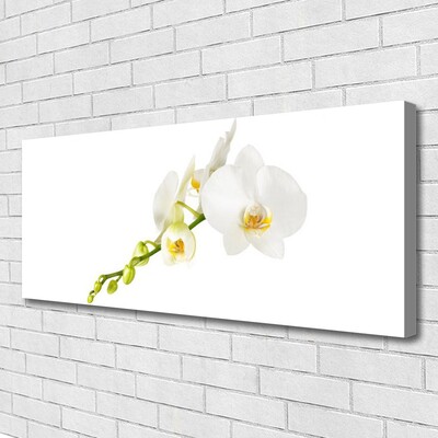 Canvas doek foto Bloemen plant nature