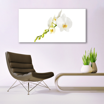 Canvas doek foto Bloemen plant nature