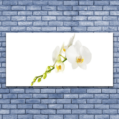 Canvas doek foto Bloemen plant nature