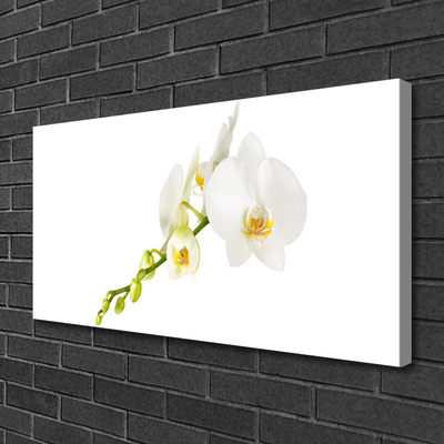 Canvas doek foto Bloemen plant nature