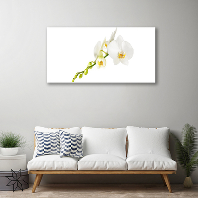 Canvas doek foto Bloemen plant nature