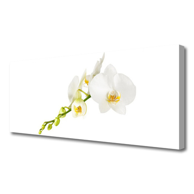 Canvas doek foto Bloemen plant nature