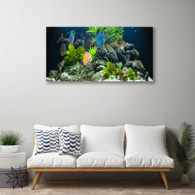 Canvas doek foto Fish aquarium nature