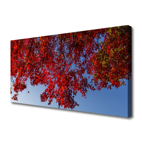 Canvas doek foto Leaves nature boomtakken