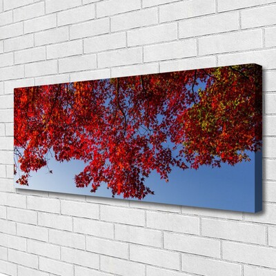 Canvas doek foto Leaves nature boomtakken