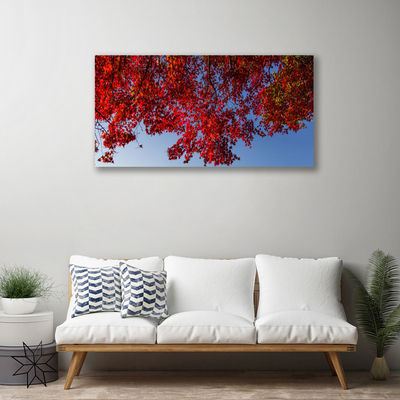 Canvas doek foto Leaves nature boomtakken