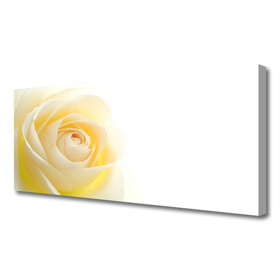 Canvas doek foto Rose flower plant natuur
