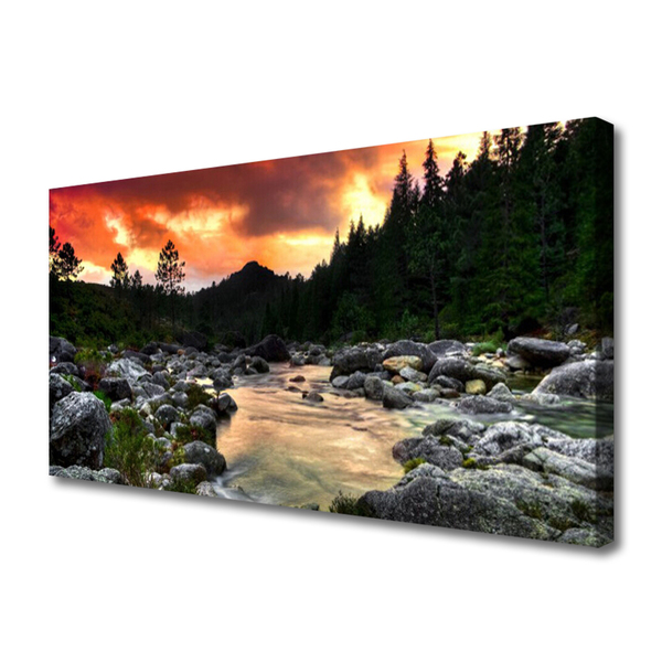 Canvas doek foto Lake river forest nature