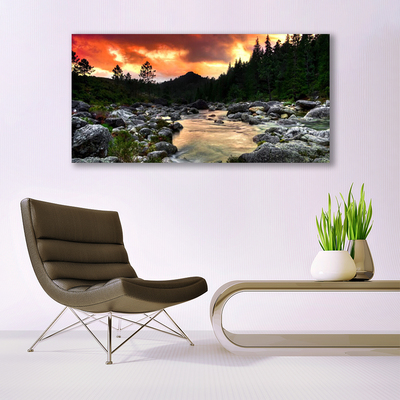 Canvas doek foto Lake river forest nature