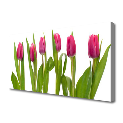 Canvas doek foto Tulpen bloemen plant