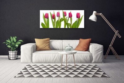 Canvas doek foto Tulpen bloemen plant