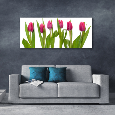 Canvas doek foto Tulpen bloemen plant