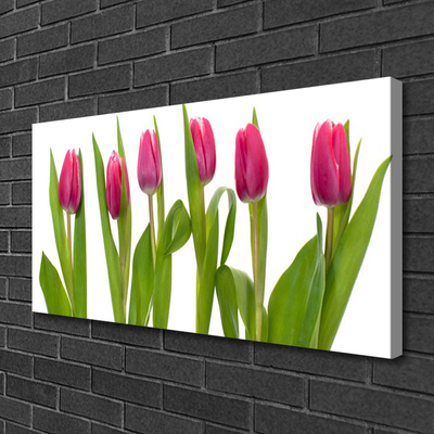 Canvas doek foto Tulpen bloemen plant