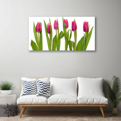 Canvas doek foto Tulpen bloemen plant