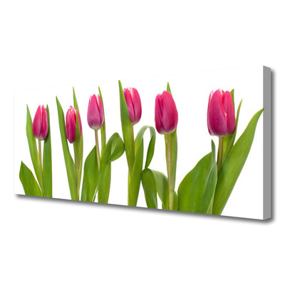 Canvas doek foto Tulpen bloemen plant