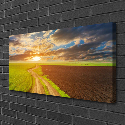 Canvas doek foto Nature field zon van de hemel
