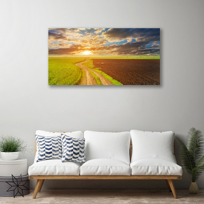 Canvas doek foto Nature field zon van de hemel