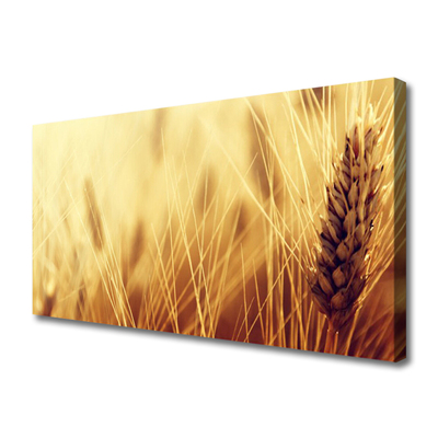 Canvas doek foto Tarwe plant nature