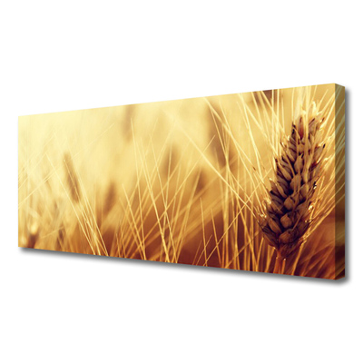 Canvas doek foto Tarwe plant nature