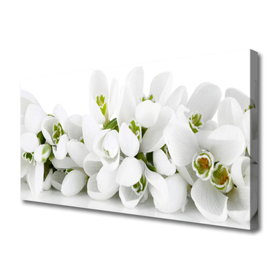 Canvas doek foto Bloemen plant nature