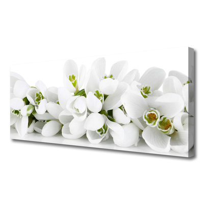 Canvas doek foto Bloemen plant nature