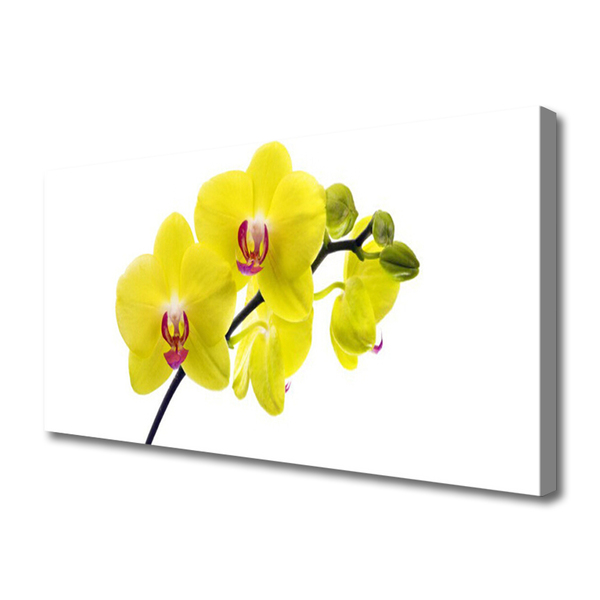 Canvas doek foto Bloemen plant nature