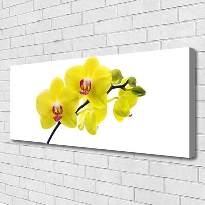 Canvas doek foto Bloemen plant nature