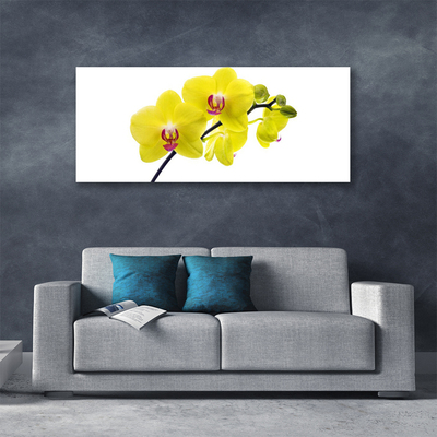 Canvas doek foto Bloemen plant nature