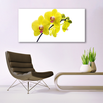 Canvas doek foto Bloemen plant nature