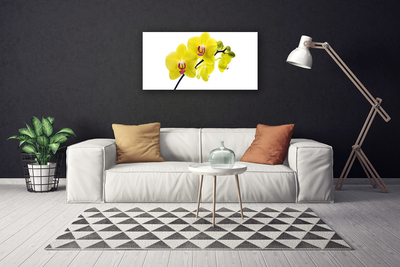 Canvas doek foto Bloemen plant nature