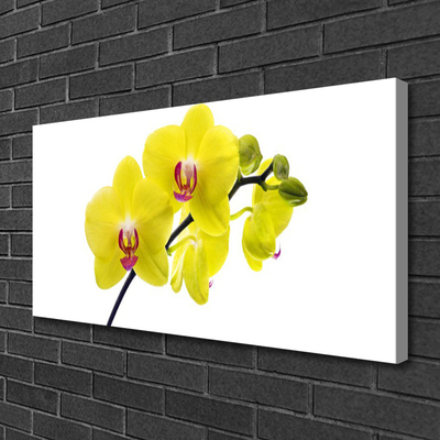 Canvas doek foto Bloemen plant nature