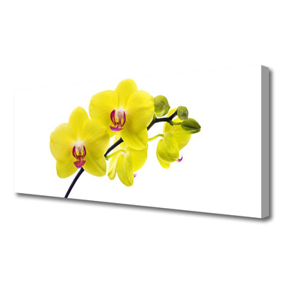 Canvas doek foto Bloemen plant nature