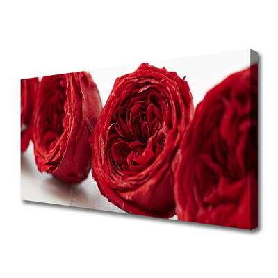 Canvas doek foto Rozen bloemen plant