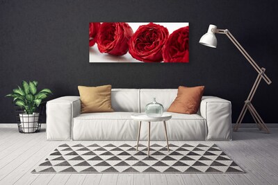 Canvas doek foto Rozen bloemen plant