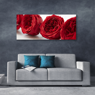 Canvas doek foto Rozen bloemen plant