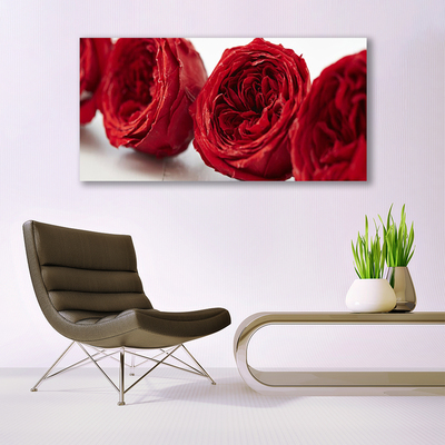 Canvas doek foto Rozen bloemen plant