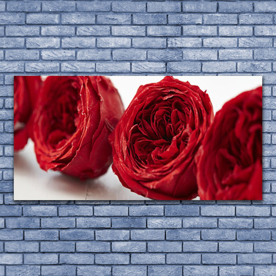 Canvas doek foto Rozen bloemen plant